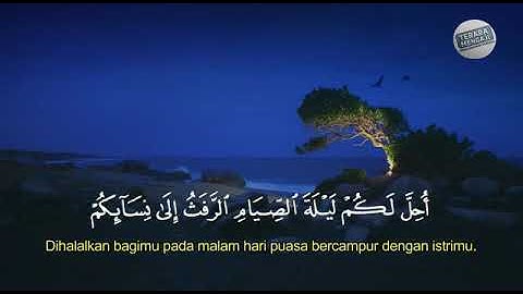 Surah Al-baqarah ayat 187-188.  سورة البقرة، آية ١٨٧-١٨٨.   Hafi Ramdani