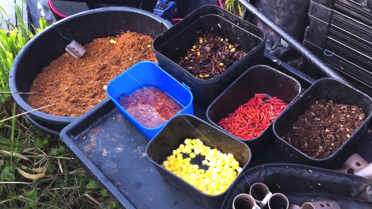 Feeder Fishing On The River Yare For Bream & Skimmers - Part One