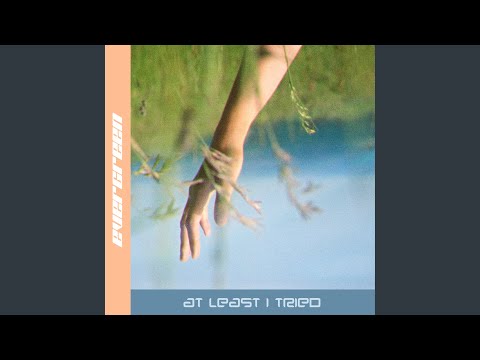 Evergreen - At Least I Tried