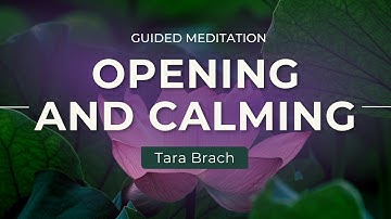 Guided Meditation: Opening and Calming, with Tara Brach