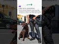 Elik va in pensione