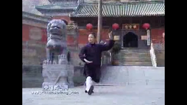Wudang Five Element Qi Gong: Turtle by Master Yuan...