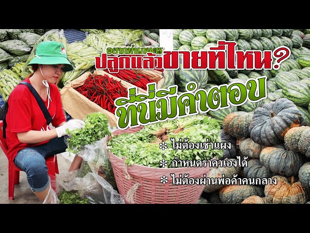วิธีนำผลผลิตทางการเกษตรไปขายที่ตลาดสี่มุมเมือง ไม่ยากอยางที่คิด #เกษตรอารมณ์ดี