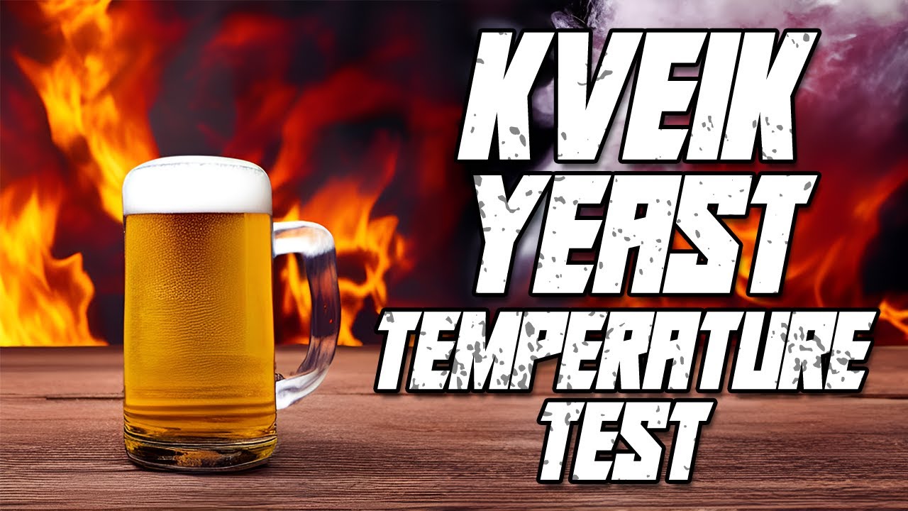 Kveik Yeast Temperature Test (Hot or Room Temp?) YouTube