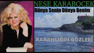 Neşe Karaböcek-DÜNYA SENİN DÜNYA BENİM-Enstrümantal Resimi