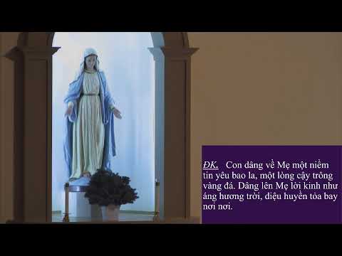 Video Thánh Lễ Thứ Ba, 12/15/2020, 7:30am. - youtube