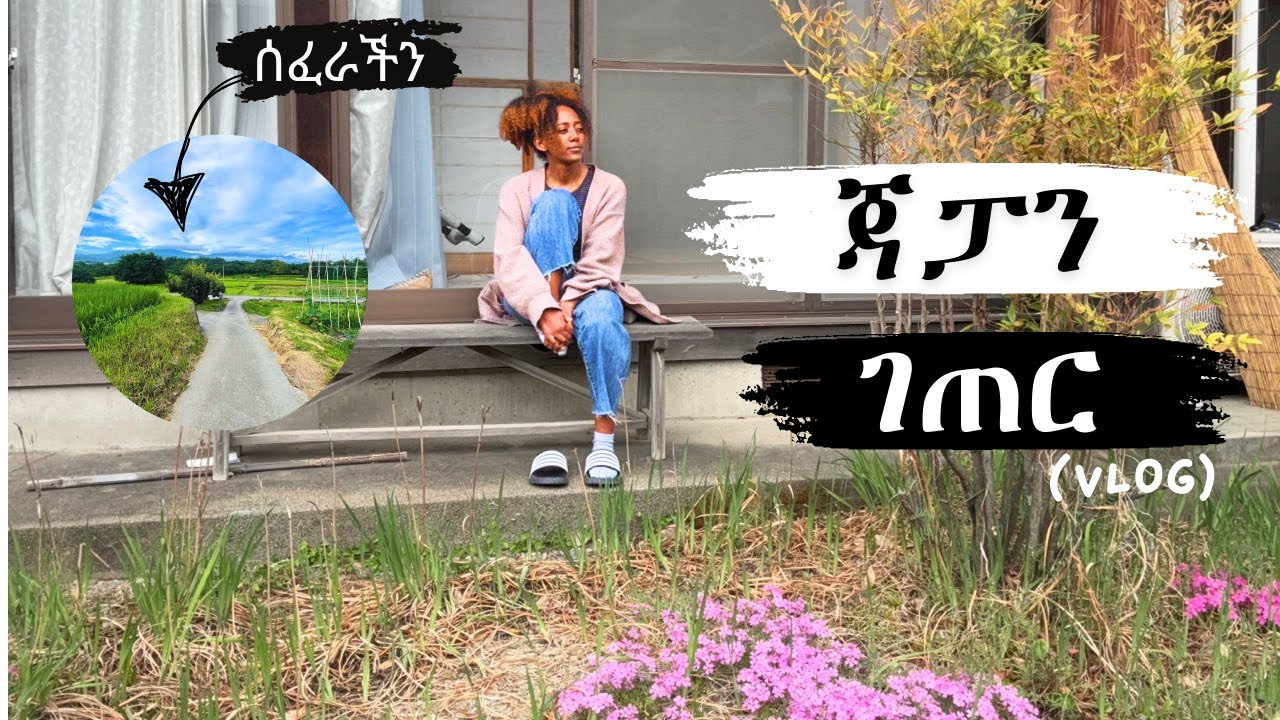 ጃፓን ቶክዮ እንዳይመስላችሁ የምኖረው…ጃፓንኛ የመማር ስቃይ…ሰፈር ውስጥ ወክ…ለእራት ከሪ