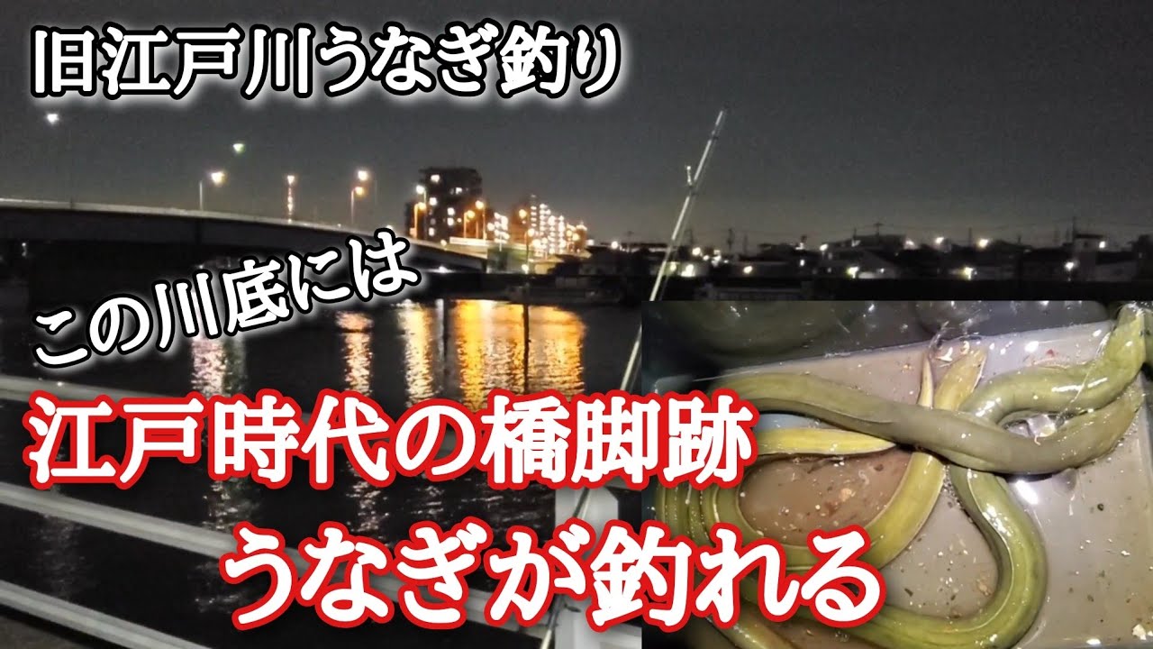 うなぎが釣れる⁉️川底に沈む江戸時代の橋脚跡を狙ってみた…