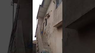 (8) FLATS ON A PLOT OF LAND, FEN ROUND WITH 2 G: CELESTIAL ROAD, IGANDO, LAGOS #150M 07034194181