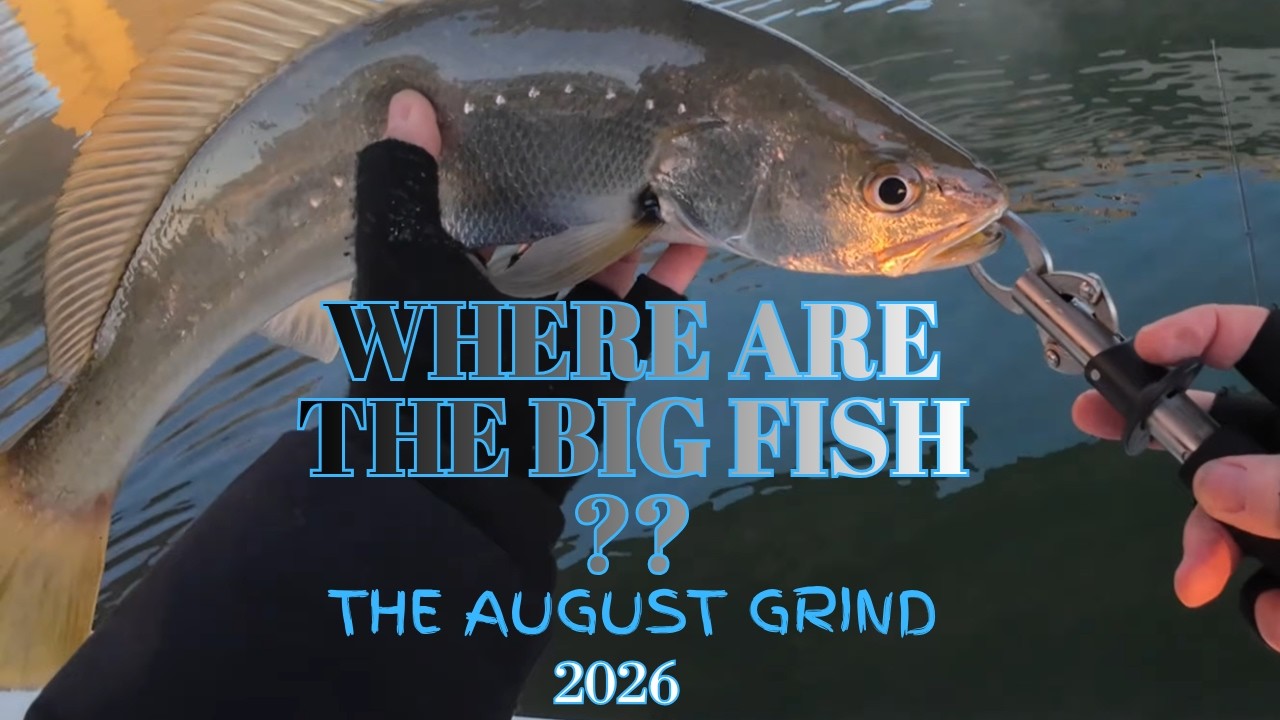 WHERE ARE THE BIG FISH?? the August Grind 2026