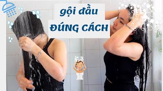 Gội Đầu Đúng Cách Như Happi Pham Để Tóc Đẹp, Mau Dài, Giảm Rụng,...