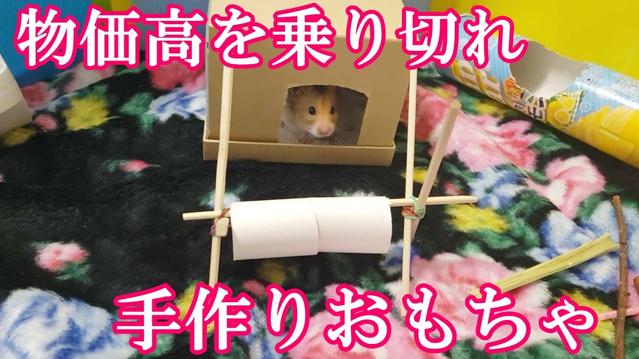 お金をかけずに作れる！ハムスターのおもちゃ