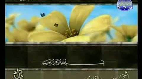 الجزء السابع عشر | من القرآن الكريم بصوت الشيخ سعد الغامدي