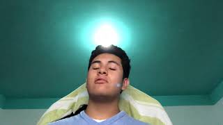 My family present simple