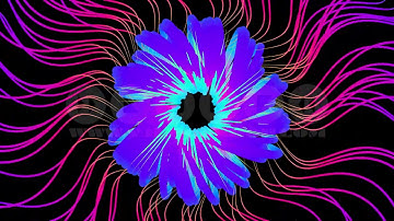 Rounded Line - VJ Loop Pack (9in1)