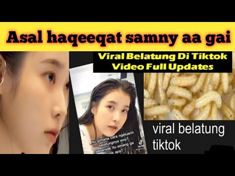 Viral belatung di tiktok