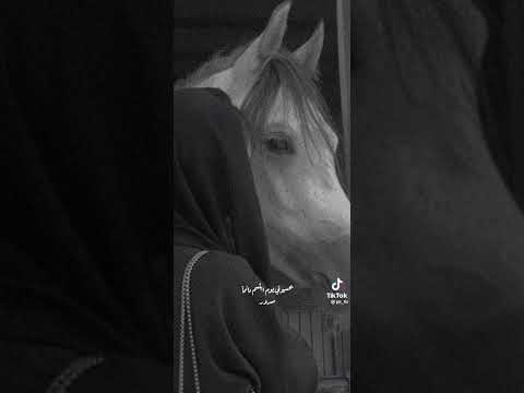 تعبت اجبر الخاطر وانا خاطري مكسور