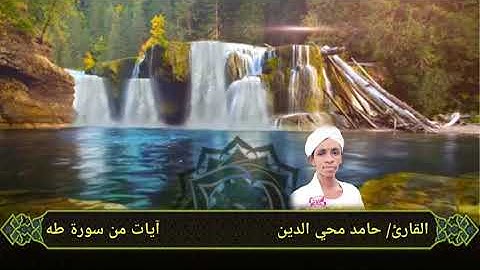 الشيخ حامد محي الدين سورة #قراءة طه