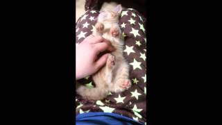 mix20141212 015537