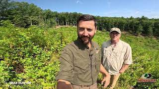 Clear Cut Evaluation - Why Clear Cuts Make GREAT Wildlife Habitat