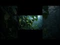 Greengages Plant Information | Care & Benefits | Welcome to NVOOVN | A World of Cinematic Anim.