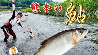 鮎の仕掛けや釣り方を実釣解説。熊本の鮎釣りは楽しい！