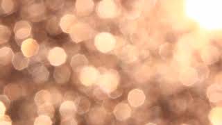 Morning sun in bokeh effect time lapse video screenshot 5