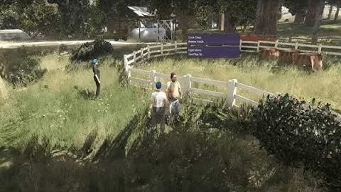 fivem Chicken fighting script | Best FiveM Script - Fivem Store