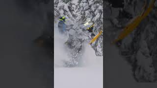 Ski-Doo Summit Snowmobiles