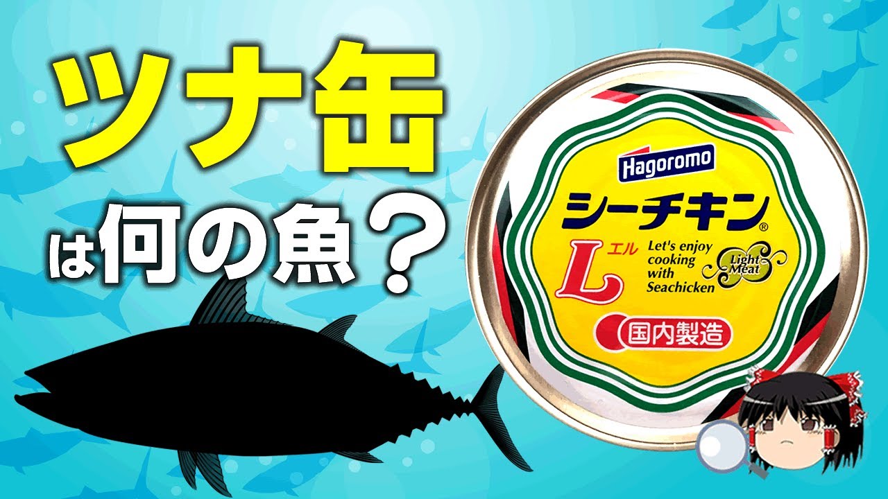 ゆっくり解説 ツナ缶は何の魚 シーチキンとツナの違いとは Youtube