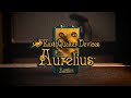 EarthQuaker Devices - AURELIUS #earthquakerdevices #aurelius #rufusguitarshop