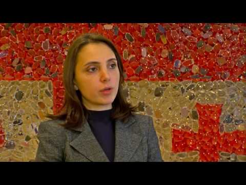 შეხვედრა საერთაშორისო სავალუტო ფონდის წარმომადგენლებთან