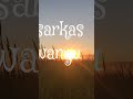 punjabi song lyrics #punjabishayari #punjabiquotes #shortsviral #ytshorts
