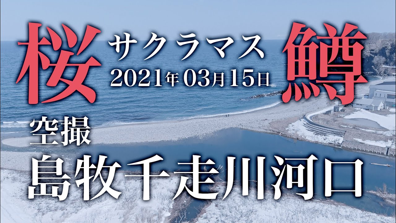 桜鱒釣り 3月15日 北海道 島牧村 千走川河口 空撮 海サクラマス Youtube 桜鱒釣り 3月15日 北海道 島牧村 千走川河口 空撮 海サクラマス Youtube