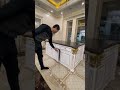 Кухонный гарнитур в Ташкенте