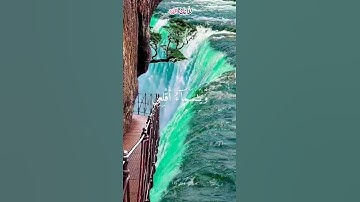سورة هود 44