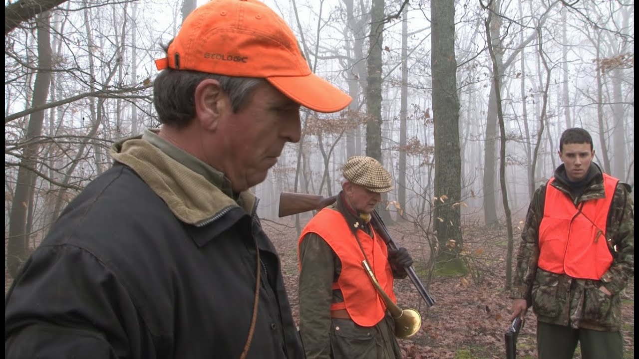 Vous tirez TOUS les sanglier !