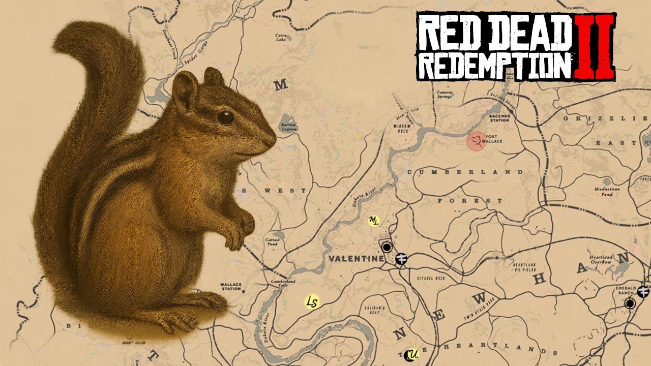 DONDE ENCONTRAR ARDILLA LISTADA OCCIDENTAL EN RED DEAD REDEMPTION 2 🟢 ...