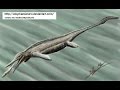 Parahupehsuchus longus (SPEED PAINTING)