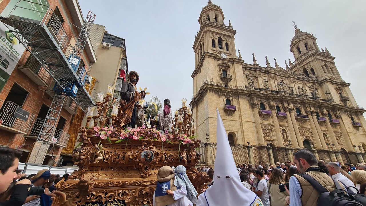 Catedral | Nuestro Padre Jesús de la Salud. Borriquilla | Jaén | Domingo de Ramos | 2024 |