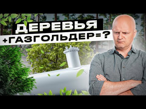 Можно ли сажать