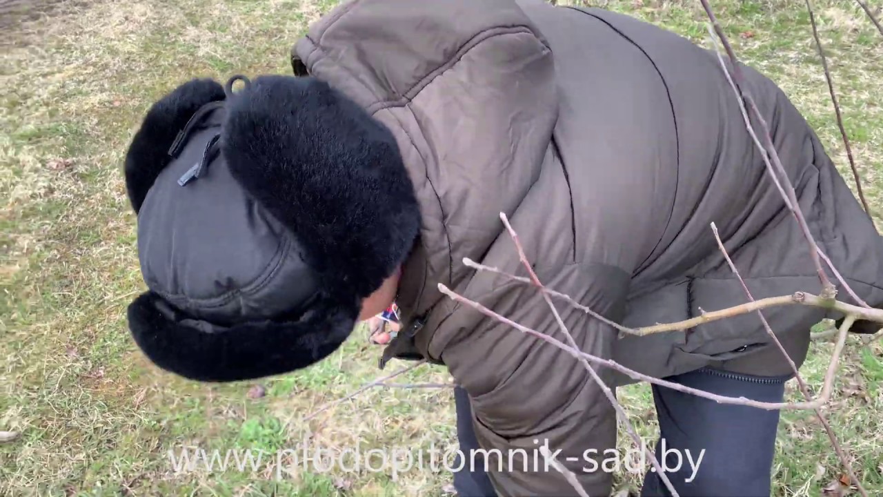 Смотреть видео