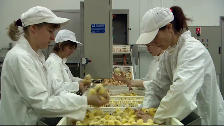 Unser täglich Brot 2005