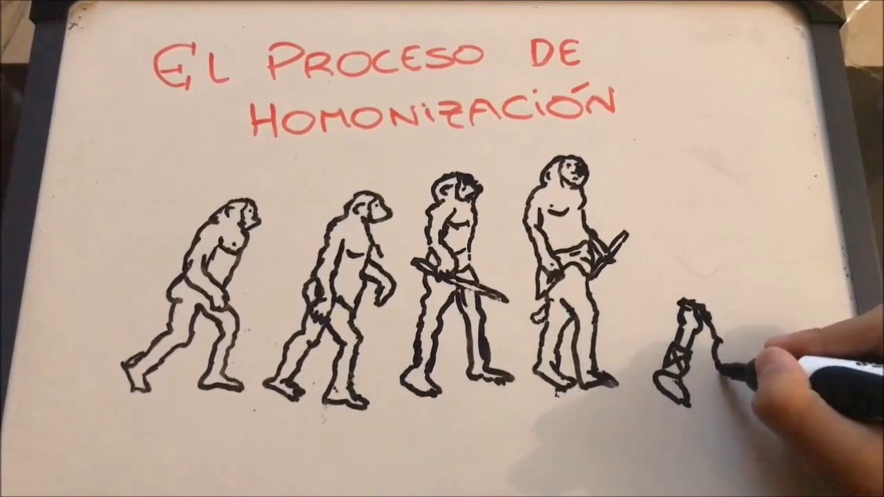 La Evolución del Hombre-Draw my life - YouTube
