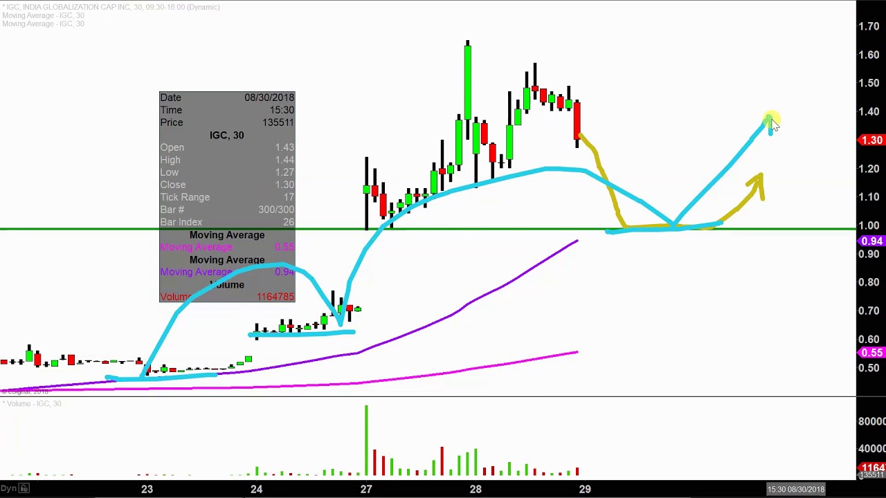 Igc Stock Chart