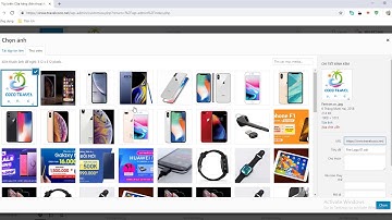 Hướng dẫn cập nhật favicon cho website (Icon nhỏ hiện trên trình duyệt)