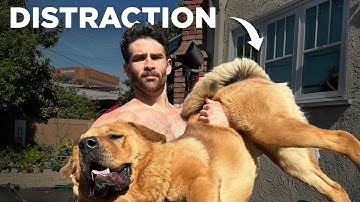 Every Hasan Piker Controversy is a Distraction