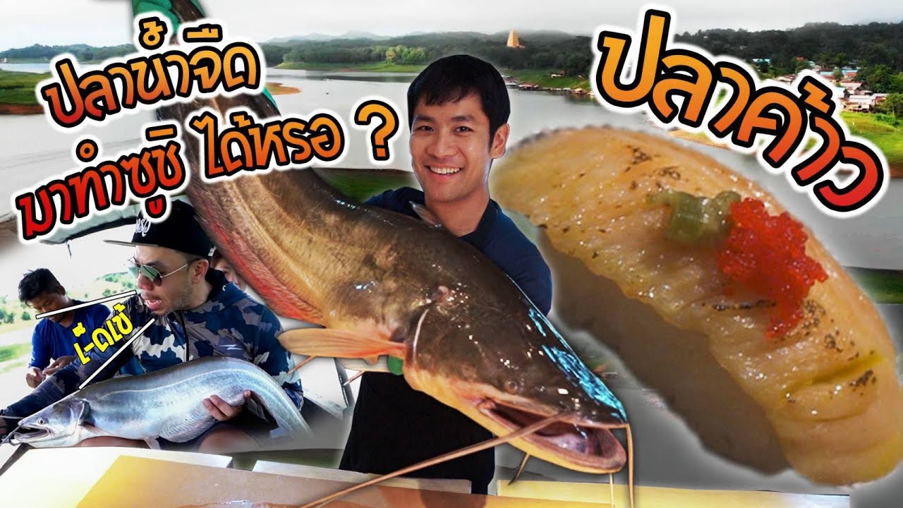 ทำซูชิด้วยปลาน้ำจืดไทย ทำได้จริงหรอ? [คนหลงรส] EP.3