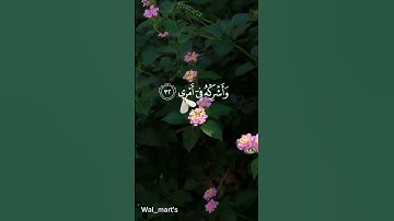 قال رب اشرح لي صدري ويسر لي أمري #قرآن #سورة #قران_كريم #quran #quotes #البنا