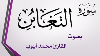 064 سورة التغابن .. محمد أيوب .. القرآن هدى للمتقين